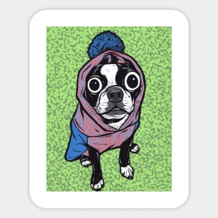 Boston Terrier Sweater Hoodie Sticker